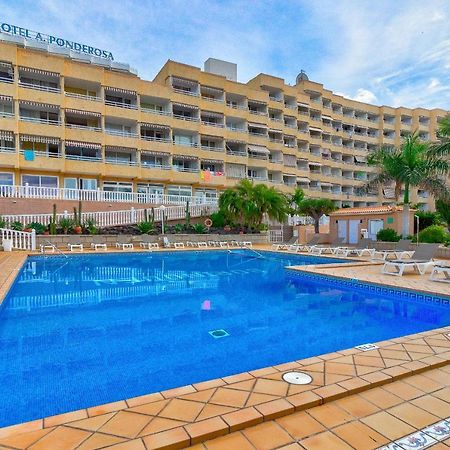 Cosy Studio In Las Americas 美洲海滩 外观 照片