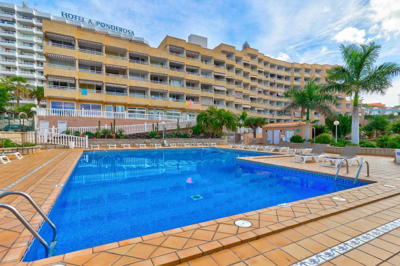 Cosy Studio In Las Americas 美洲海滩 外观 照片